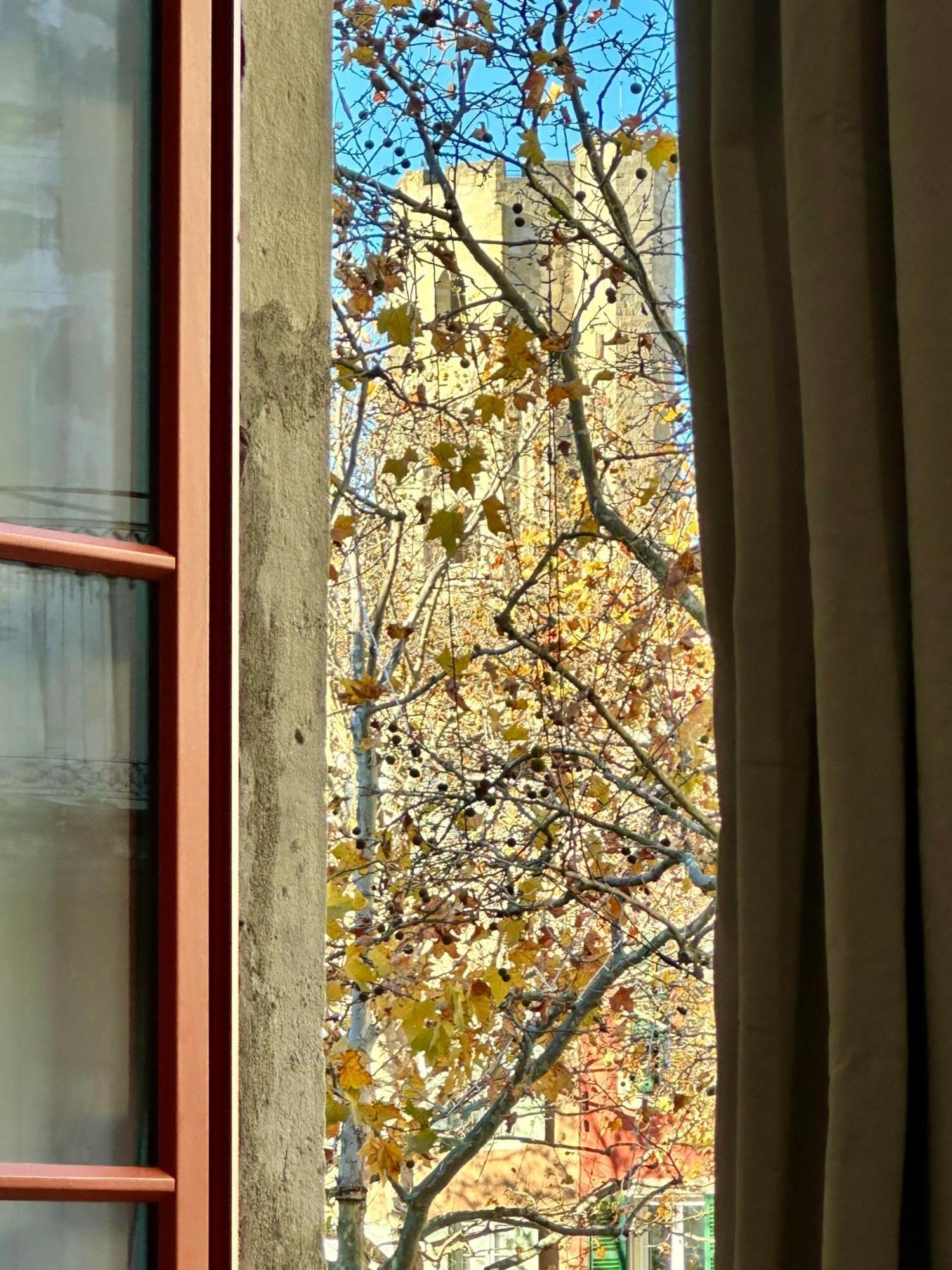 La Magie De Carnot Meuble De Tourisme 3 Etoiles Appartement